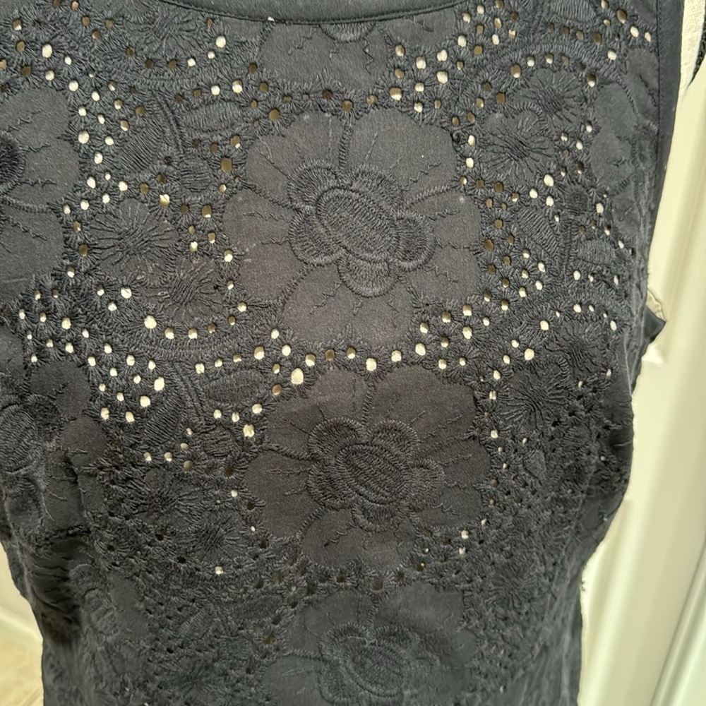 Ann Taylor Factory Eyelet Dress Black with cream lining
